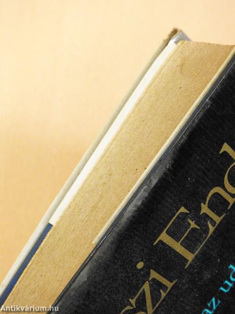 Hattyú az udvar fölött (dedikált példány)