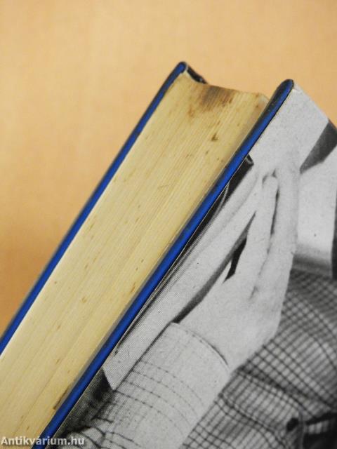 Hattyú az udvar fölött (dedikált példány)