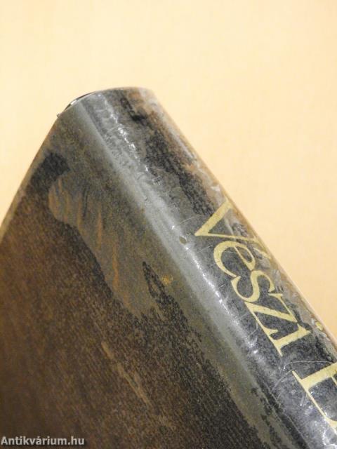 Hattyú az udvar fölött (dedikált példány)