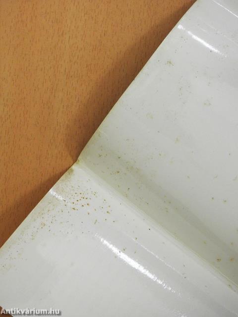 Hattyú az udvar fölött (dedikált példány)