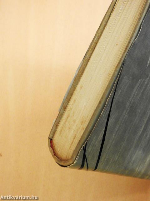 Tékozlók (dedikált példány)