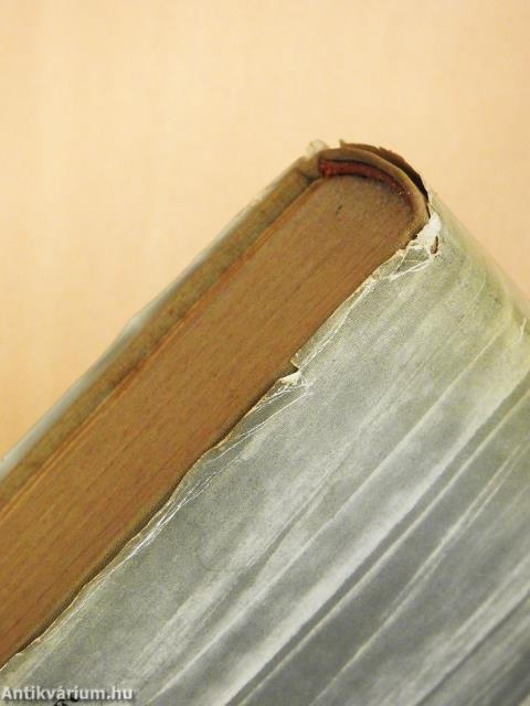 Tékozlók (dedikált példány)