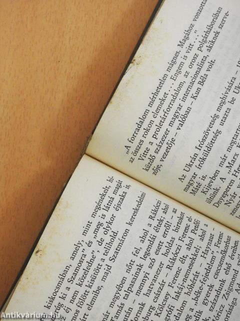 A Városligettől a Csendes-óceánig (dedikált példány)