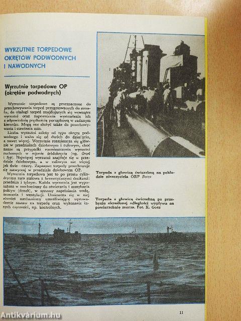 Torpeda Francuska kal. 550 mm wz. 1924 V