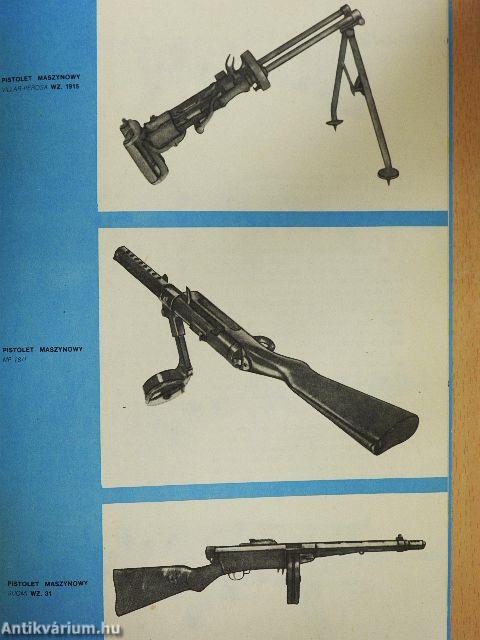 Pistolety maszynowe PPSz i PPS