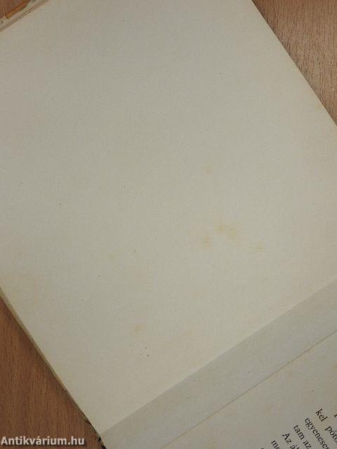 Tizenhét ábrándozás (dedikált példány)