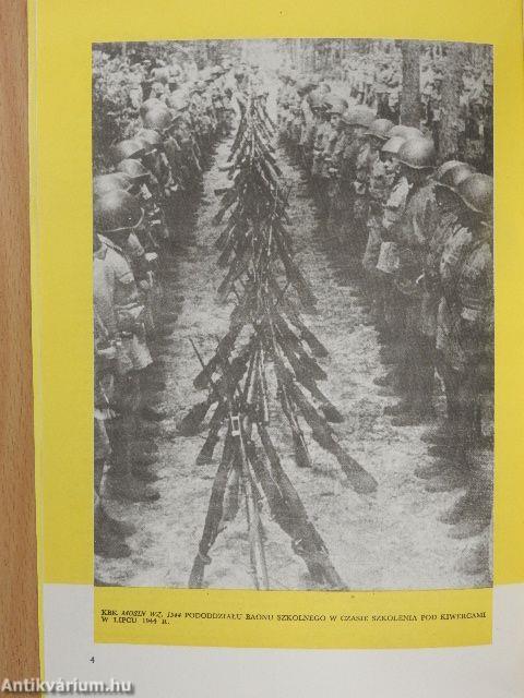 Karabin Mosin wz. 1891