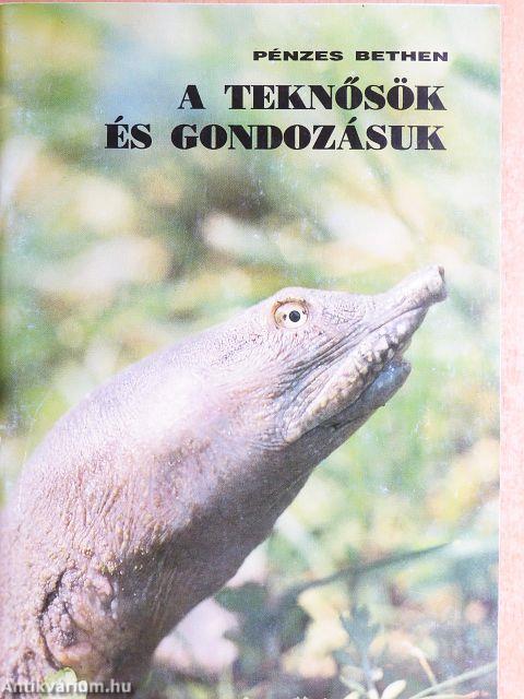 A teknősök és gondozásuk