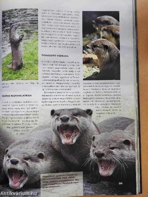 Az emlősök különleges világa