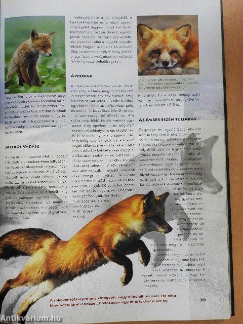 Az emlősök különleges világa