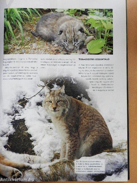 Az emlősök különleges világa