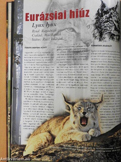 Az emlősök különleges világa