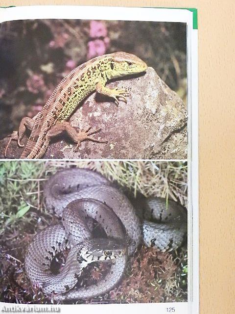 Szántók és mezők világa