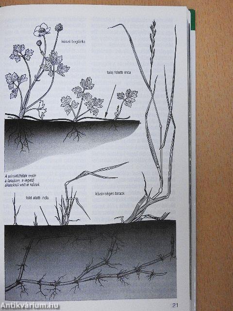 Szántók és mezők világa