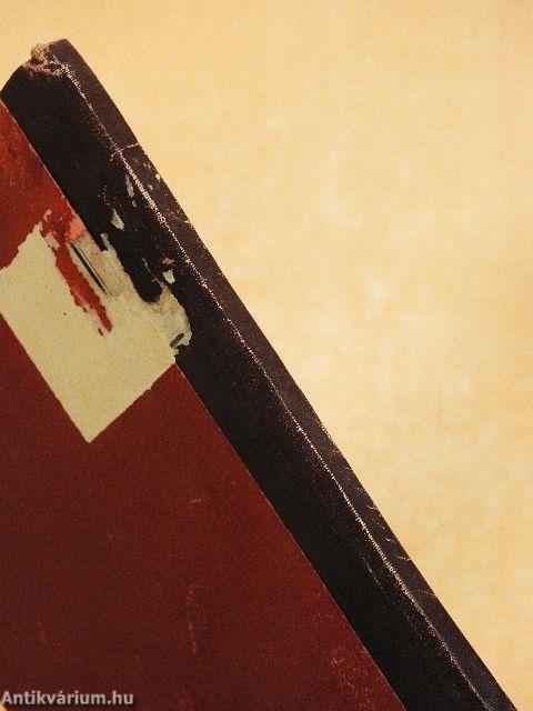 Magyar uralom az Adrián