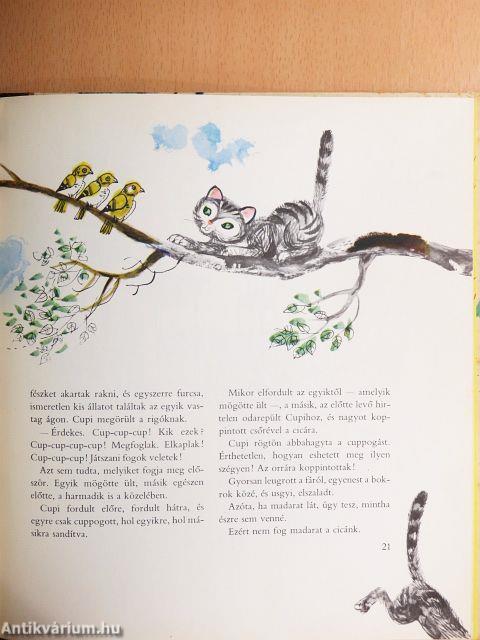 A csökönyös kiscica