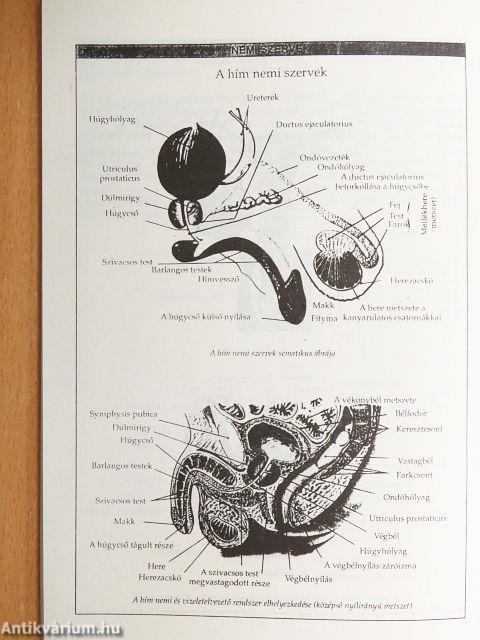 Nemi szervek ápolása, gondozása