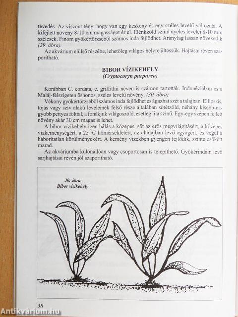 Akváriumi növények