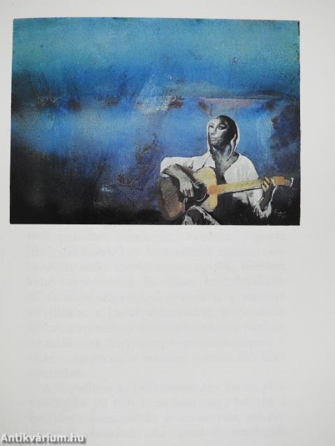 Képnovellák (dedikált és aláírt példány)