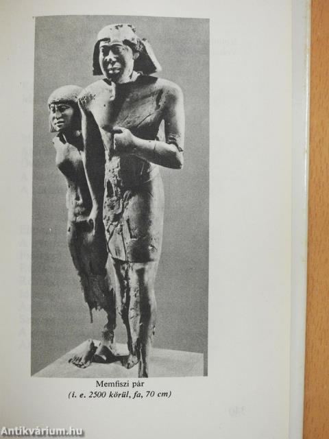 Jel (dedikált példány)