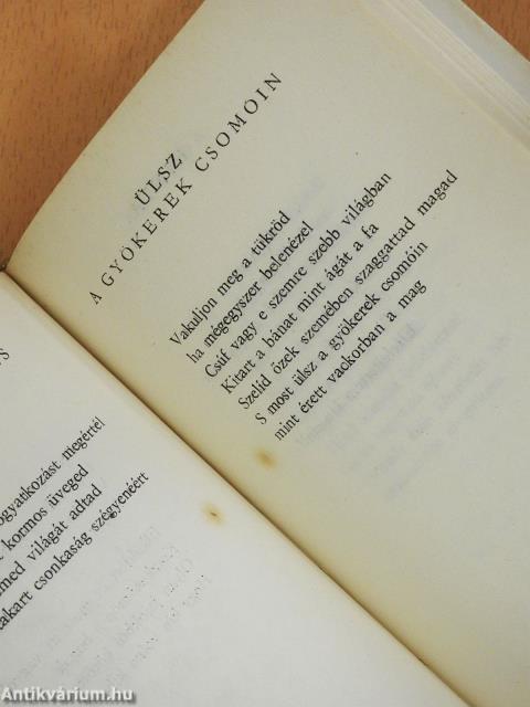 A griff halála (dedikált példány)