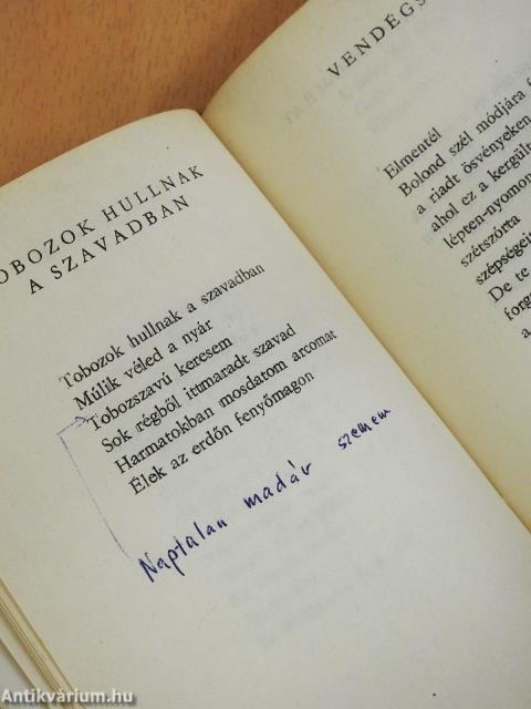 A griff halála (dedikált példány)