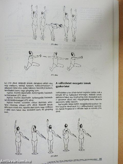 A tudatos mozgás művészete - DVD-vel