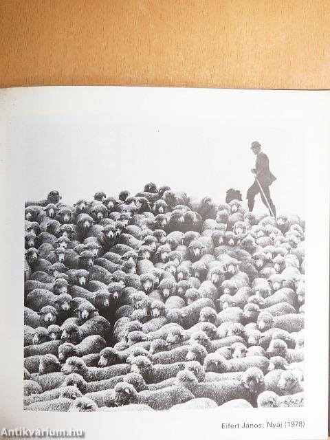 Szolnoki fotógaléria 1979-1989