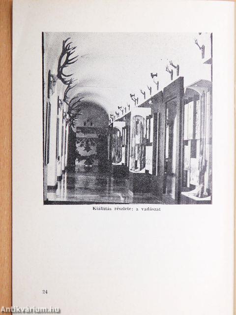 Erdő és ember Zalában