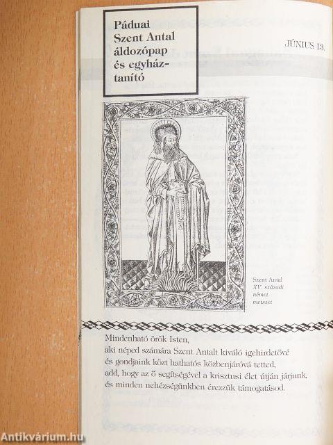 Istennek tetsző életek VI.