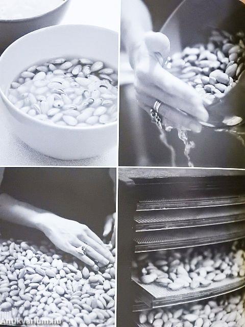 Raw Food - Real World