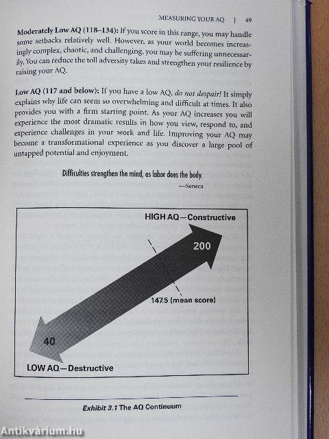 Adversity Quotient @Work