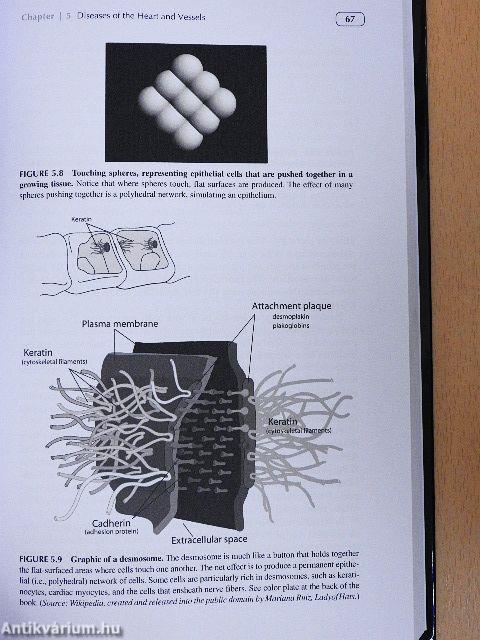 Rare Diseases and Orphan Drugs