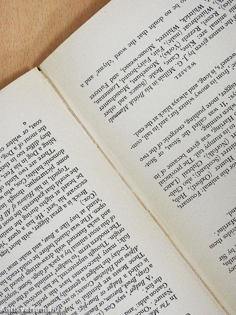 The Language of Sport