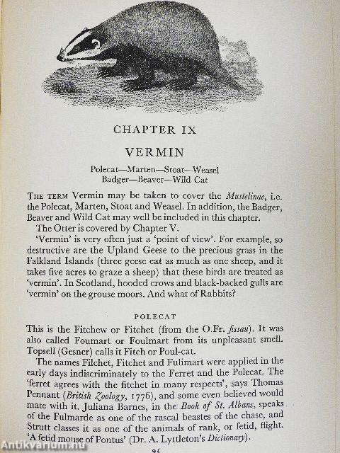 The Language of Sport