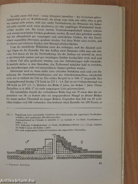 Rehwildhege mit der Büchse