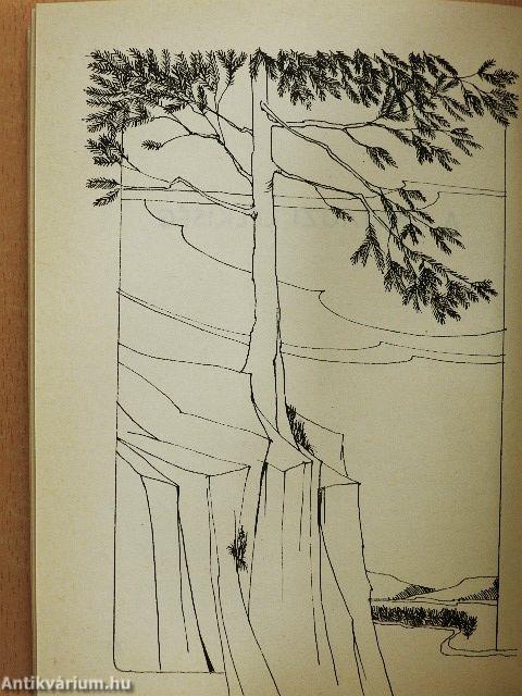 Szüntelenül imádkozzatok