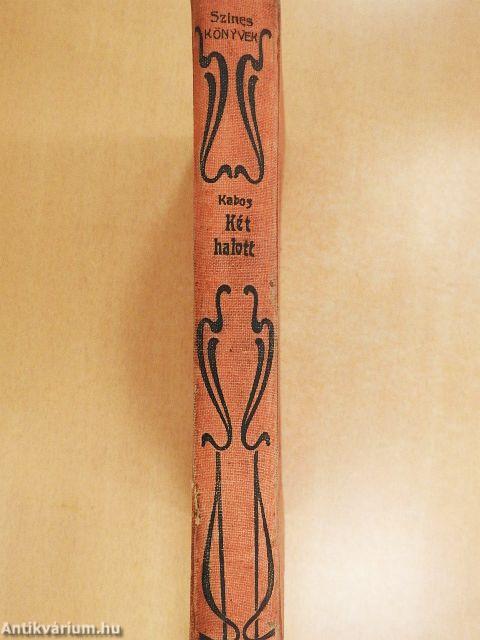 Két halott regénye