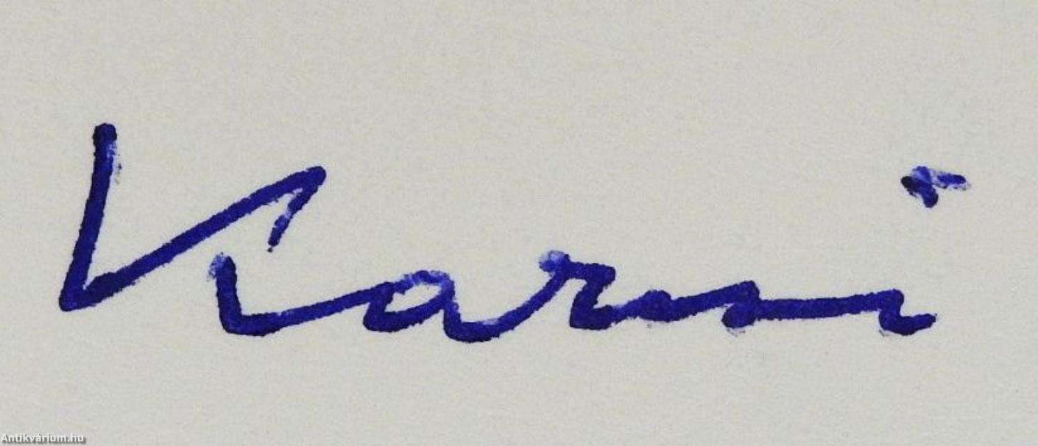 Hollandiai könyvtártörténelem 1. (dedikált példány)