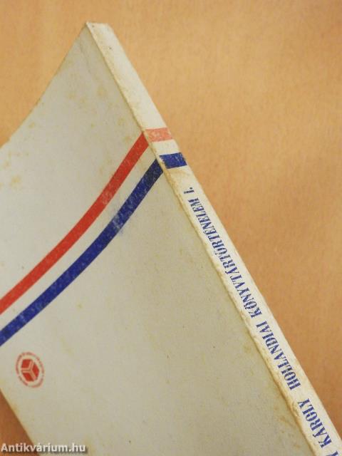 Hollandiai könyvtártörténelem 1. (dedikált példány)