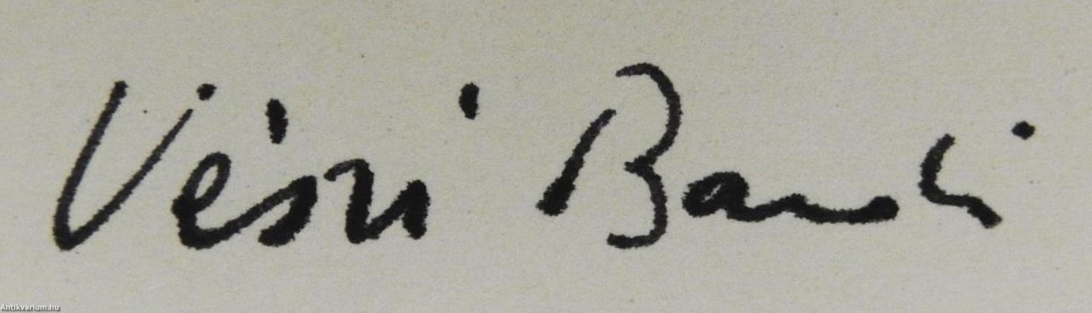 Nyitott ház (dedikált példány)