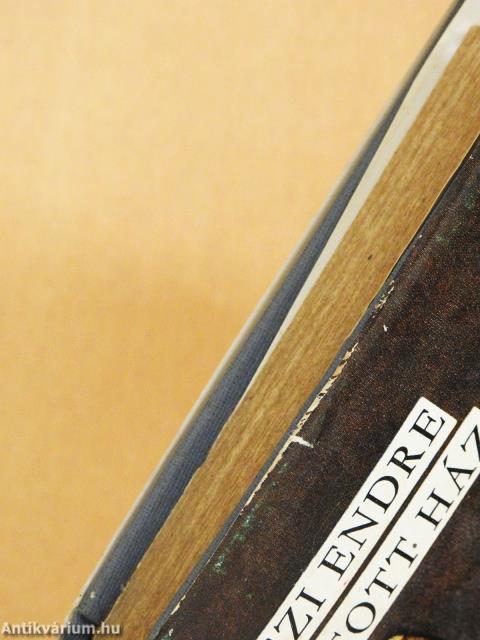 Nyitott ház (dedikált példány)