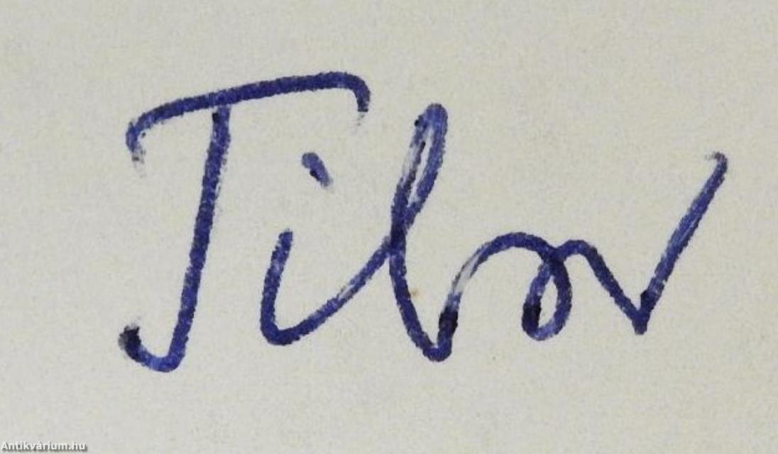 Elveszített és megőrzött képek (dedikált példány)