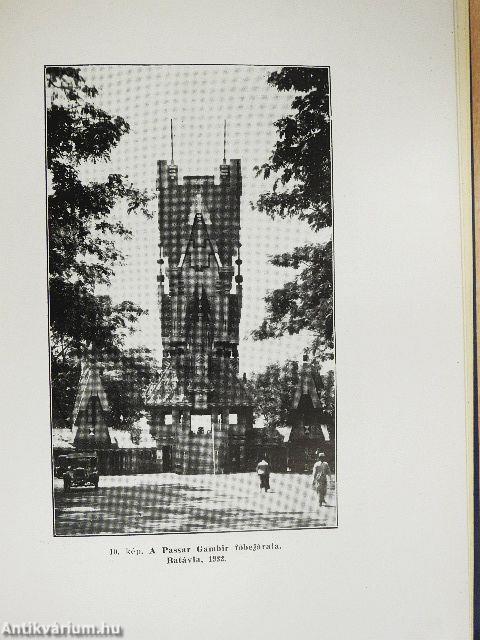 Tizenöt év Jáva szigetén