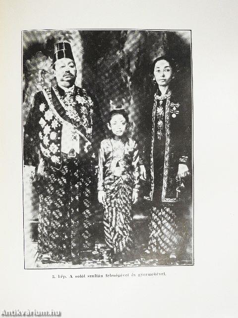 Tizenöt év Jáva szigetén