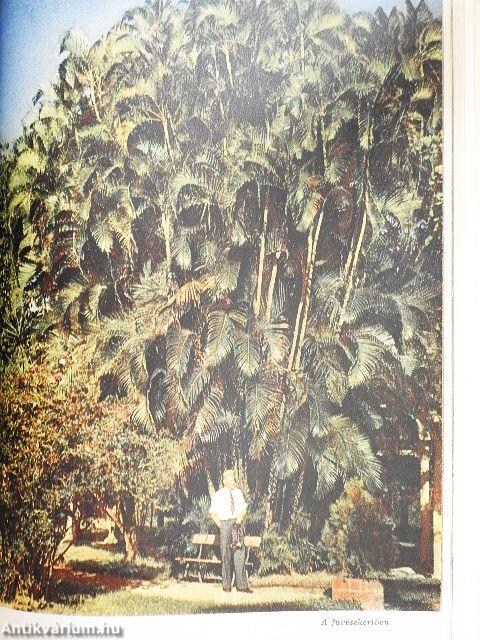 A folyón túl van Argentína