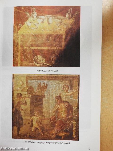 Latin nyelvkönyv II.