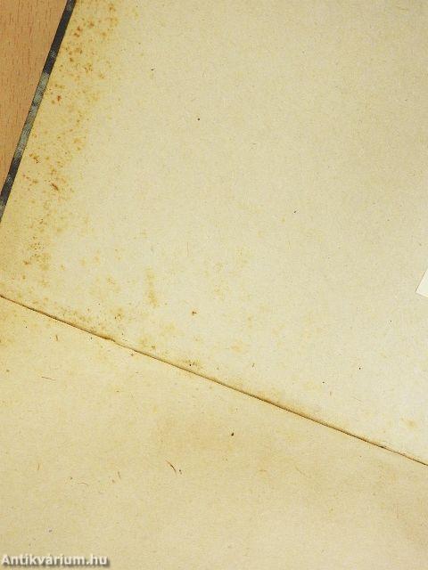 Szerencse gyermeke/Galamb Miska kalandjai