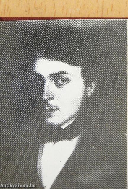 Zsigmondy Vilmos (minikönyv) - Plakettel