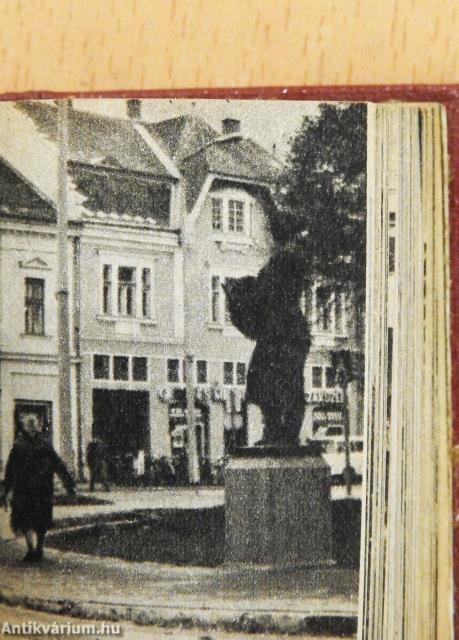 Magyar városok (minikönyv)